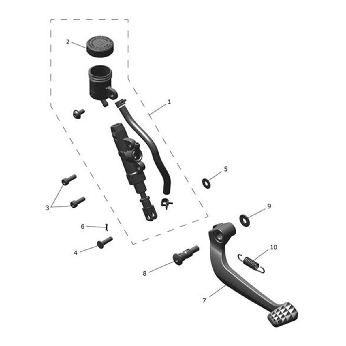 Bild von Bolt, Socket, M6 x 1 x 18, Blk, Precoat