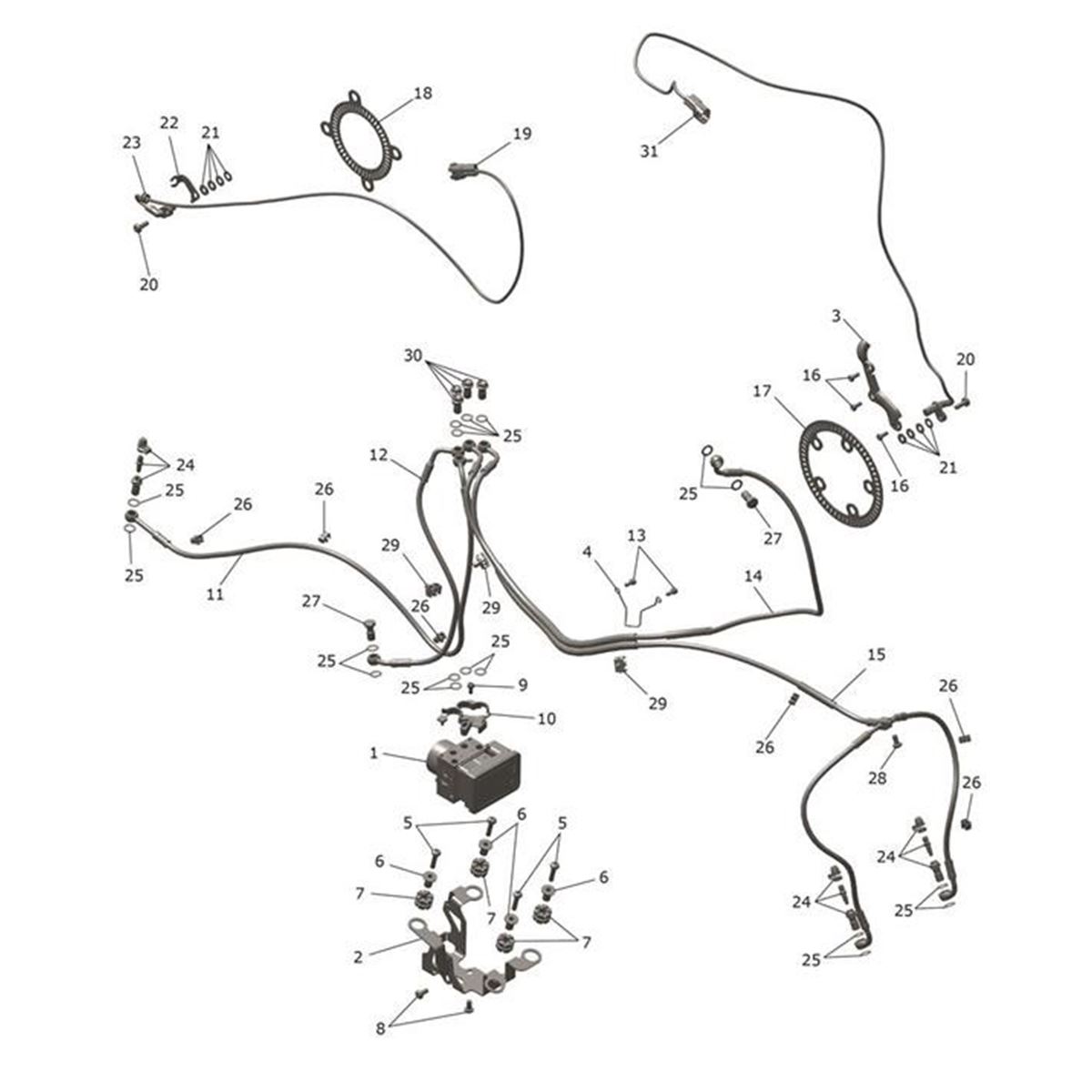 Bild von Brake Line, Front Caliper