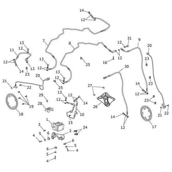 Bild von Brake Line, Headstock to Caliper, Front R