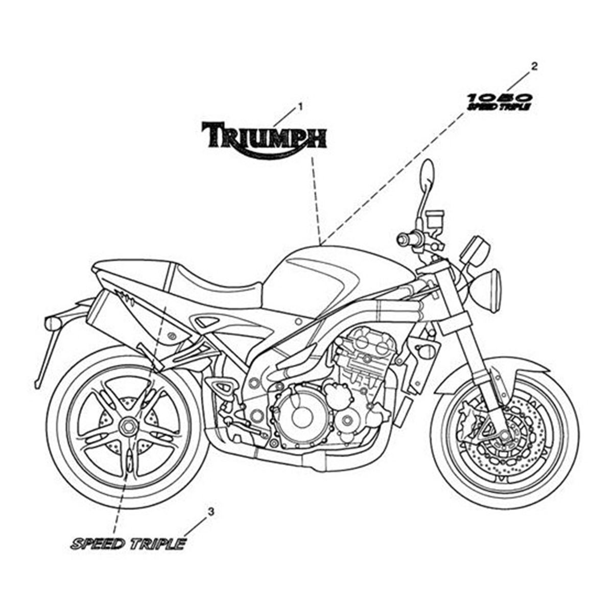 Bild von Decal, Flyscreen, Special Edition