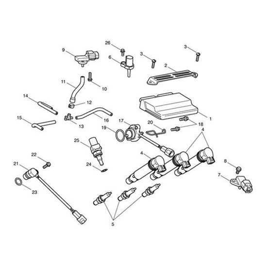 Bild von ECM Base