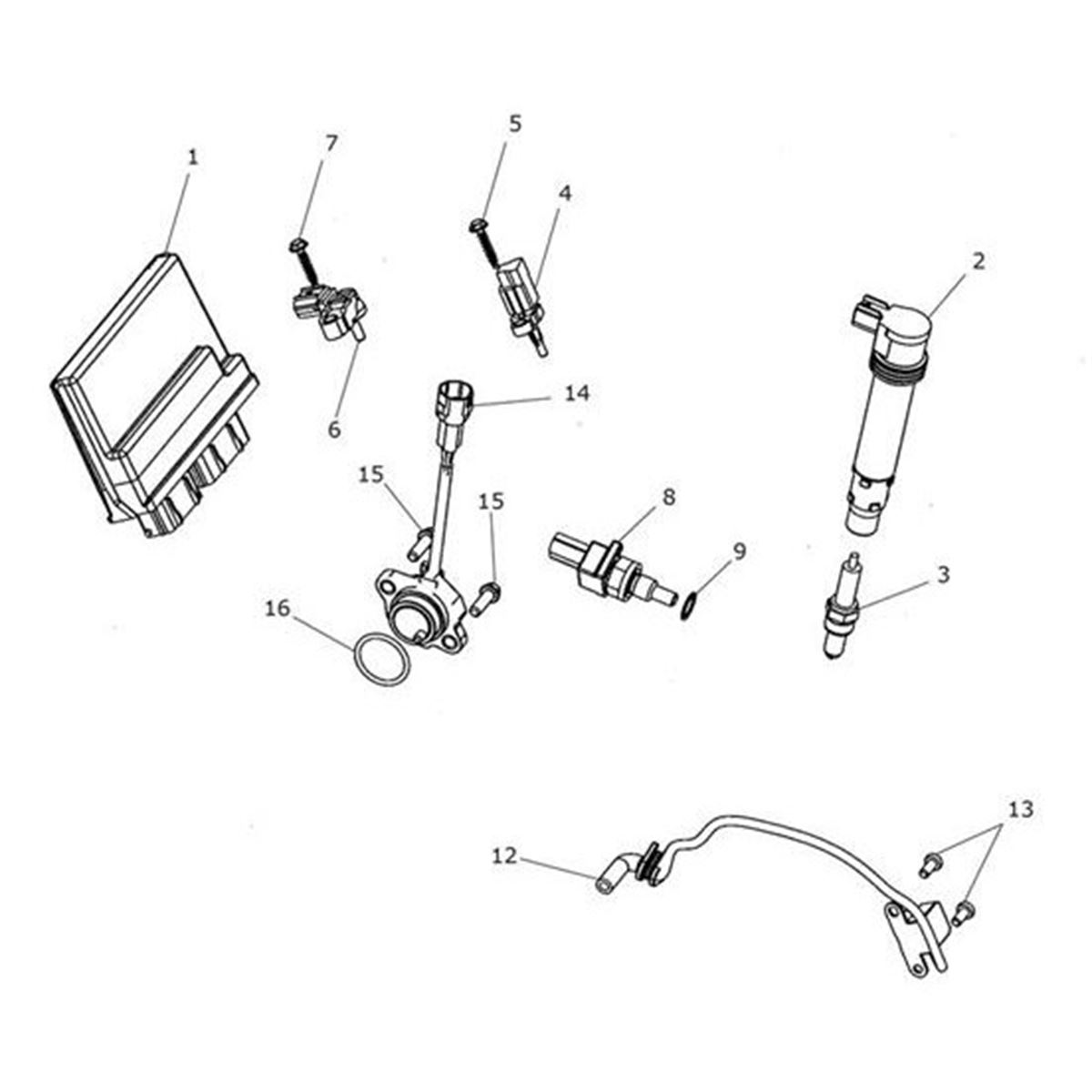 Bild von ECM Base