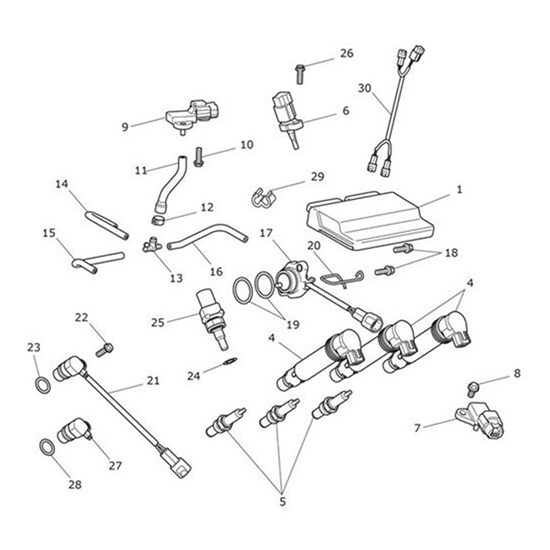 Bild von ECM Base