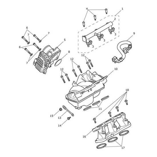 Bild von Fuel Rail Assembly