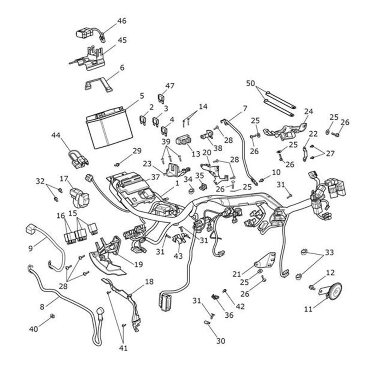 Bild von Harness & Stator Kit
