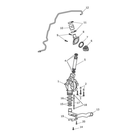 Bild von Hose, Coolant, Thermo Housing