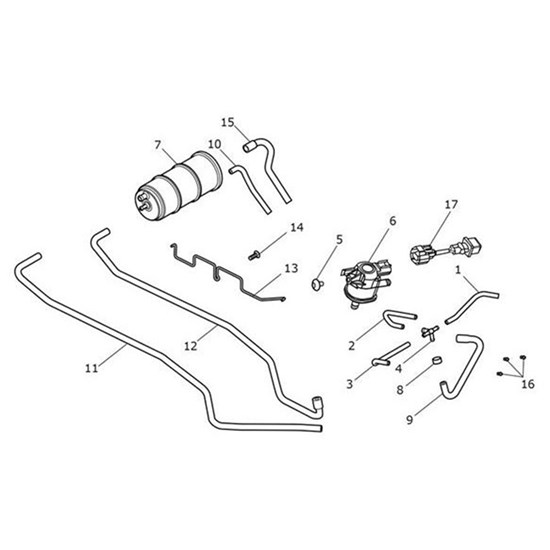 Bild von Hose, Purge, Throttle Bodies