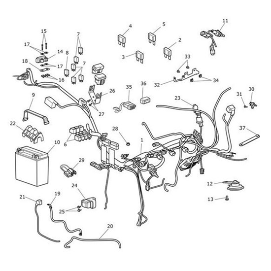 Bild von Main Harness