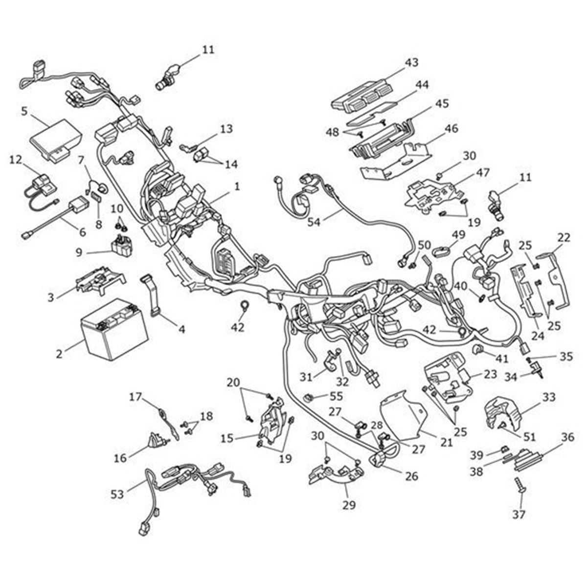 Bild von Main Harness