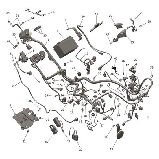Bild von Main Harness