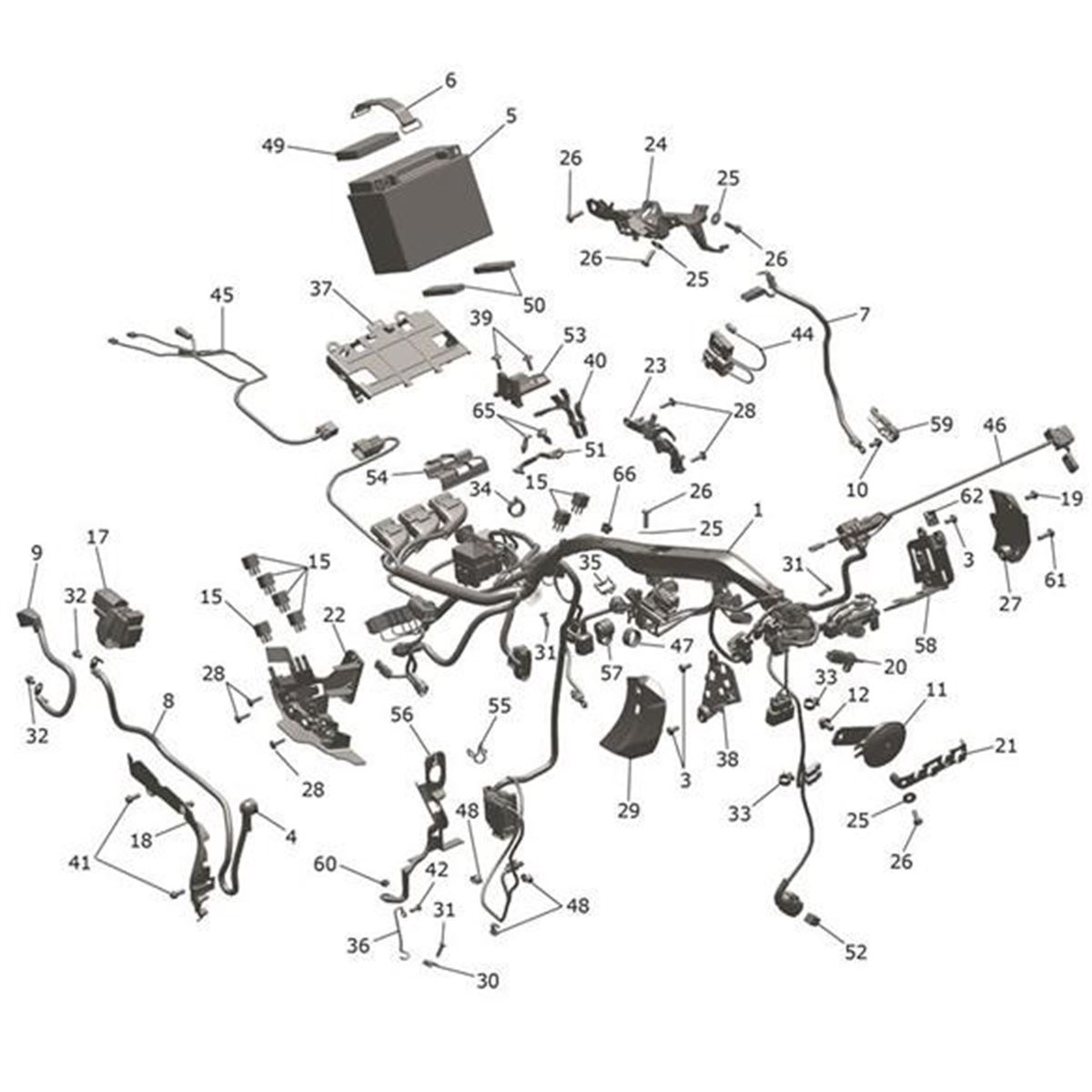 Bild von Moulding, Harness Retention