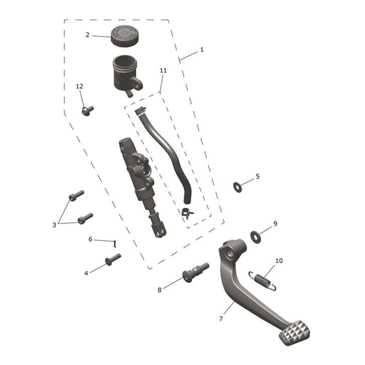 Bild von Screw Skt Step M8 x 1.25