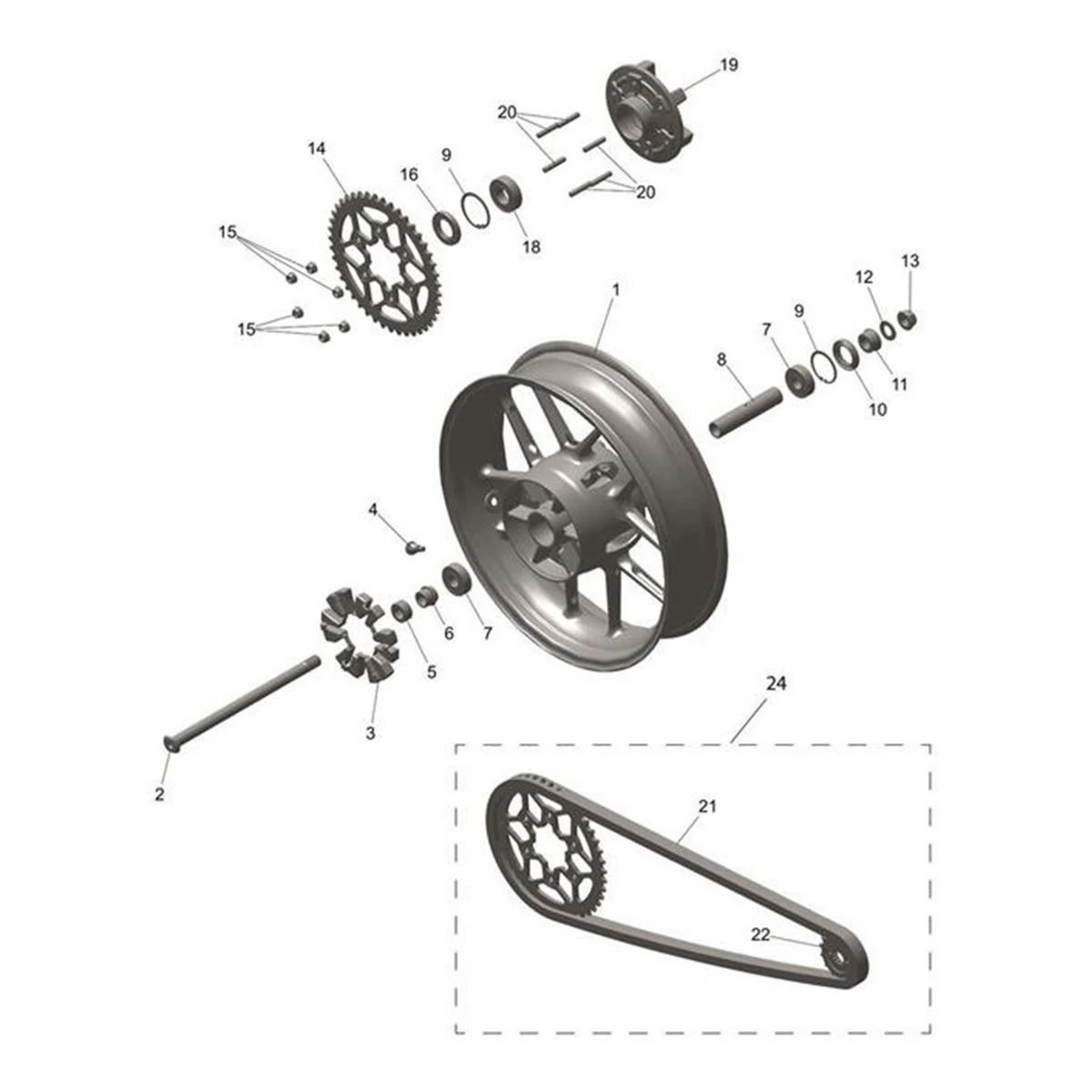 Bild von Sprocket, 43T