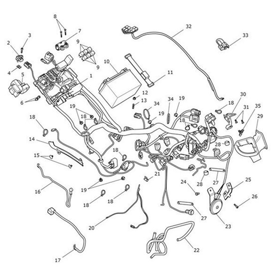 Bild von Subharness, Rear Number Plate