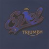 Bild von TRIUMPH X EVEL KNIEVEL LOGO TEE